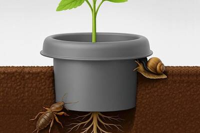 Защита от медведки и улиток для рассады, пластиковый барьер-кольцо