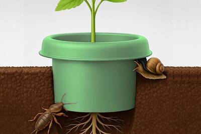 Горшок без дна от медведки, защитное кольцо от слизней и улиток