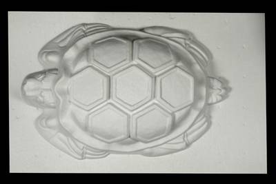 Пластиковая форма Черепаха